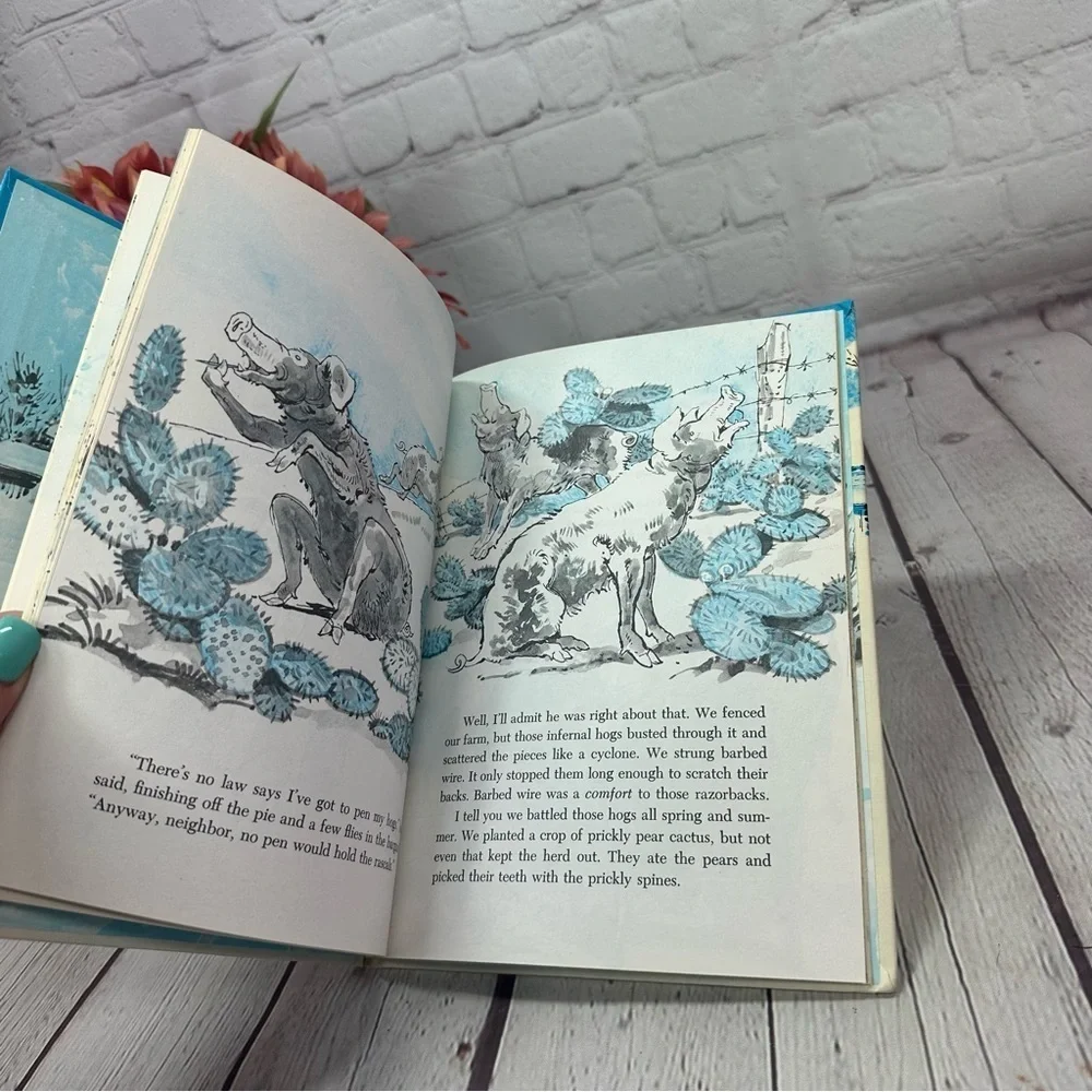 vintage 1971 McBroom's Ghost Illustrated hard back Book by sid fleischman
